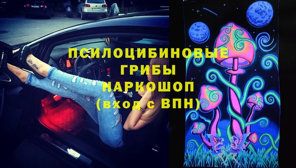 apvp Зерноград