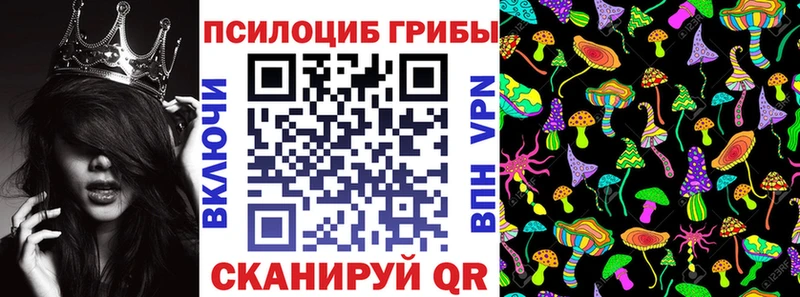 Галлюциногенные грибы GOLDEN TEACHER  Купить где  Заозёрск 